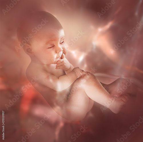 Slika na platnu embryo inside belly