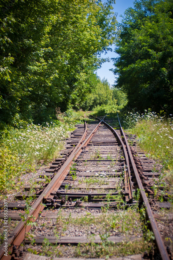 An abandoned railway