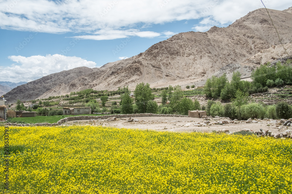 Obraz premium Indien- Ladakh- Shakti