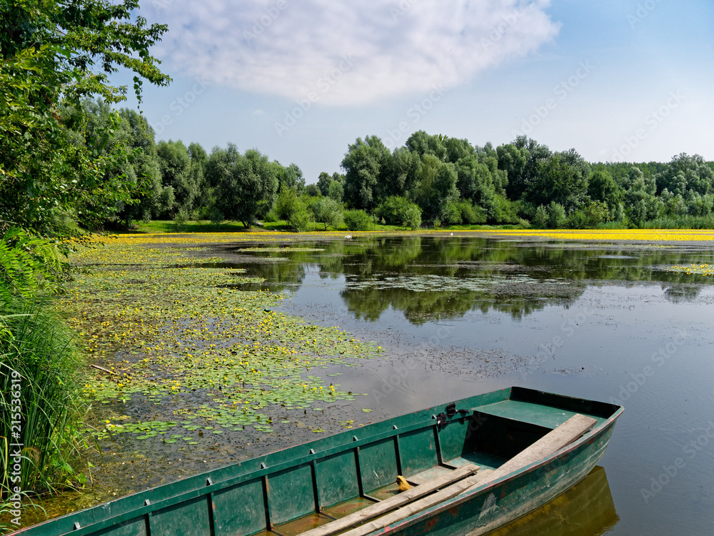 Gelbe Wasserpflanzen auf einem See mit Boot im Vordergrund