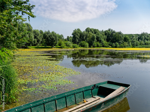 Gelbe Wasserpflanzen auf einem See mit Boot im Vordergrund