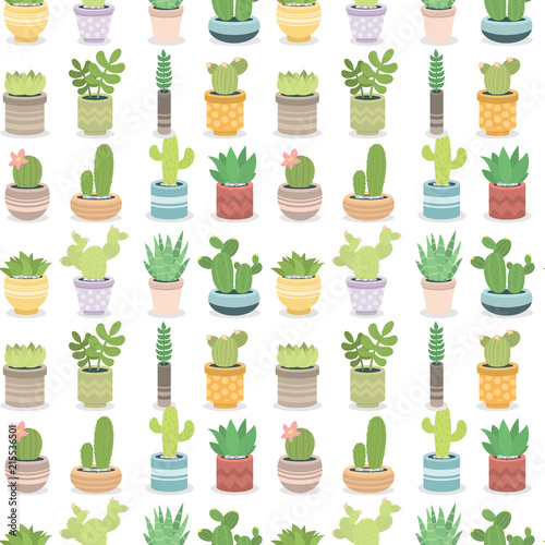 Cactus green plant cactaceous home nature cacti vector illustration of tree with flower seamless pattern background