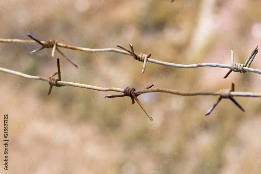 Obraz premium rusty barbed wire on blurred brown background