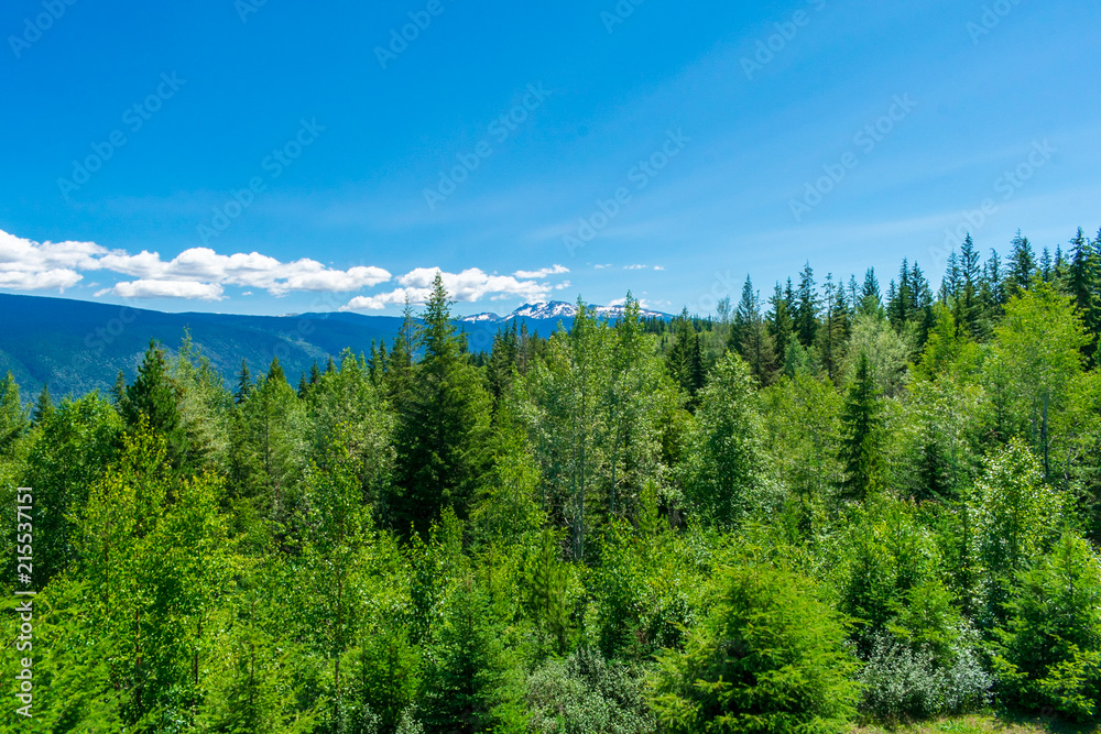 Wells Grey Provincial Park, British Columbia, Canada