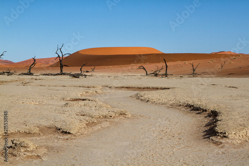 A red sanddune in Dead Vlei, part of Sossusvlei area, with old dead trees on the old white mud bottom in Namib Naukluft National Park in Namibia