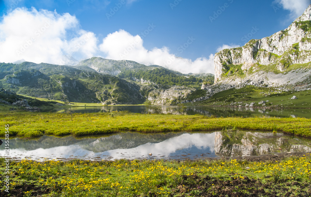Lago de Covandonga en el Parque Nacional de los Picos de Europa Asturias, esplendor de hierba y flores con reflejo de montañas en sus aguas.