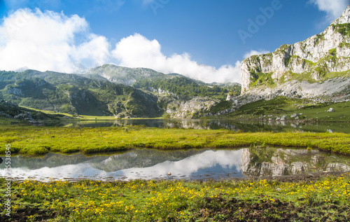 Lago de Covandonga en el Parque Nacional de los Picos de Europa Asturias, esplendor de hierba y flores con reflejo de montañas en sus aguas.