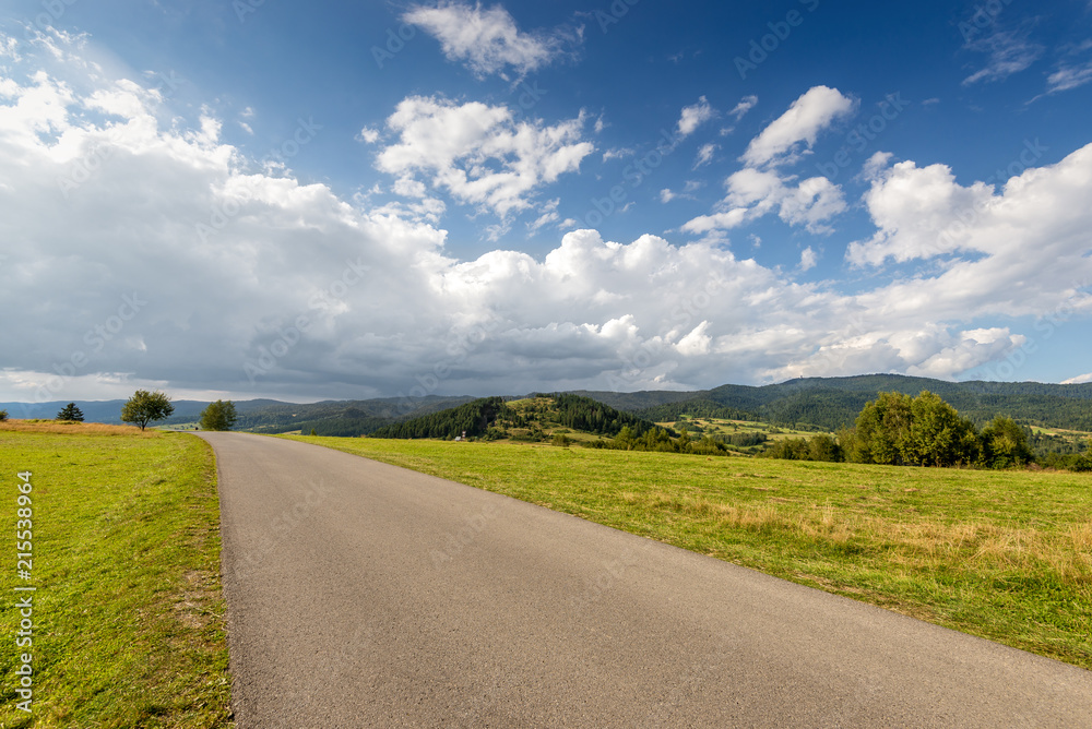 Naklejka premium Asphalt road in Pieniny National Park. Malopolska, Poland.