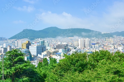 Aerial View of Buildings and Natural Landscape of Busan City