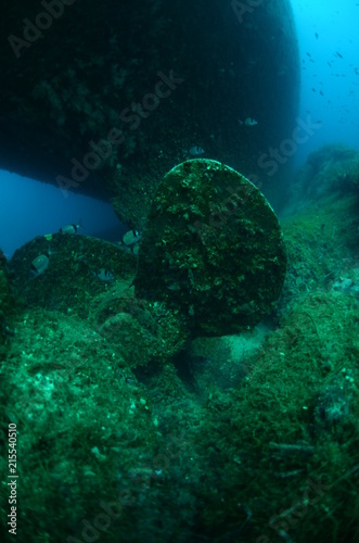 Wrecked propeller sunk undersea. © sky1793