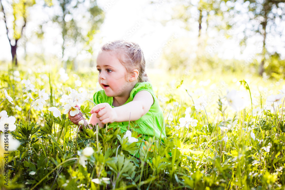 female child in a green dress in a clearing tears flowers on a summer evening female child in a green dress in a clearing tears flowers on a summer evening
