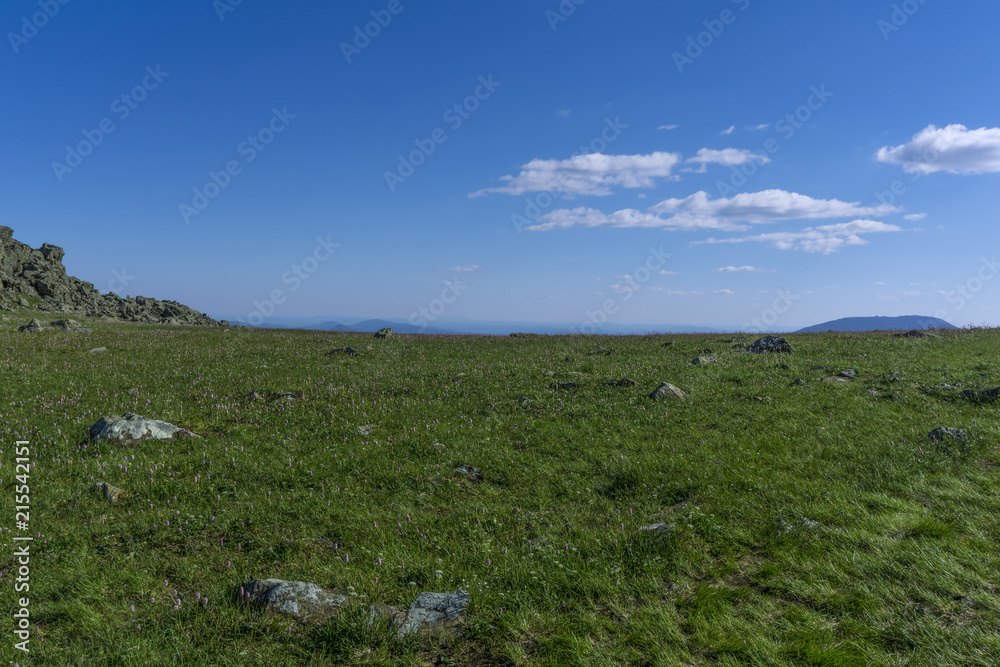 Summer arctic landscape - grassy rocky tundra under a blue sky