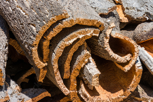 cork oak bark ready for processing in Portugal