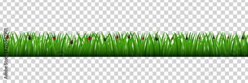 Vector realistic isolated grass border with mite insects for decoration and covering on the transparent background. Concept of meadow, field and danger of nature.