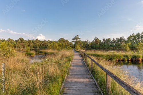 Wallpaper Mural LH - Pietzmoor 1 Torontodigital.ca
