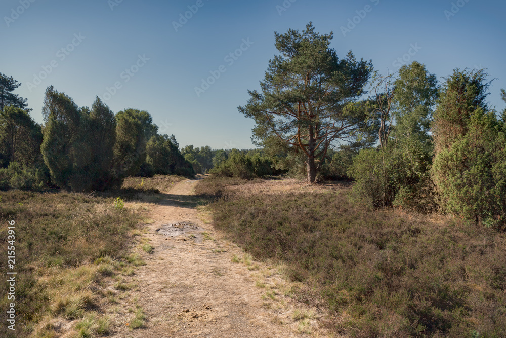 Lüneburger Heide - Rehrhofer Heide Lüneburger Heide - Rehrhofer Heide