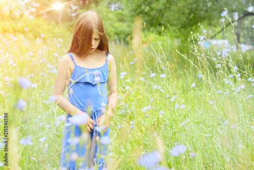 girl in a blue dress on the field of blue flowers