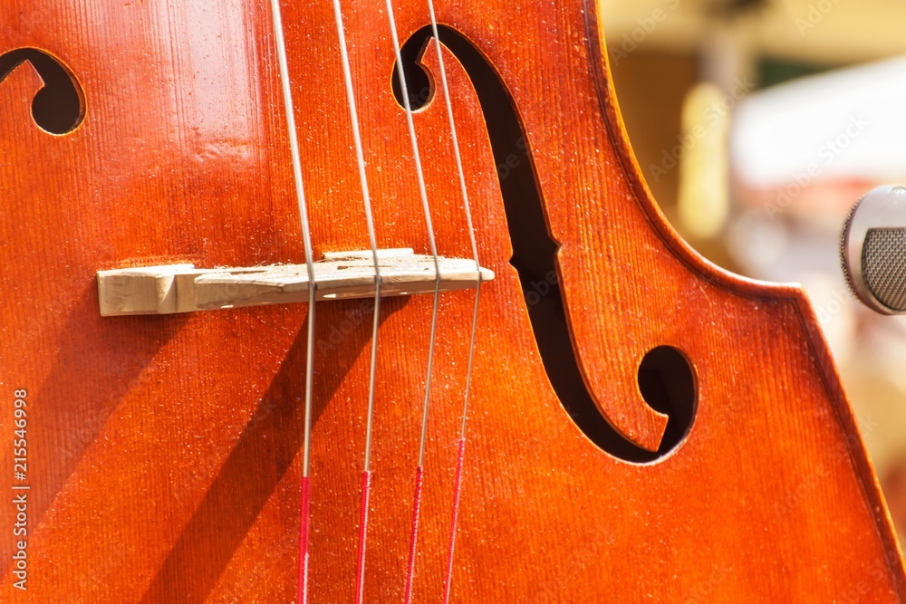 Detail of bass musical instrument. Artistic performances at folk festivals. Traditional musical instrument. Detail of bass musical instrument. Artistic performances at folk festivals. Traditional musical instrument.