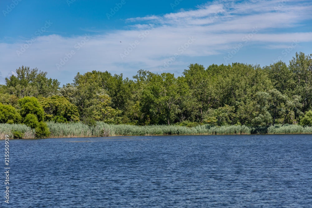 Marhs land and wet lands with pond and animals in state park Marhs land and wet lands with pond and animals in state park