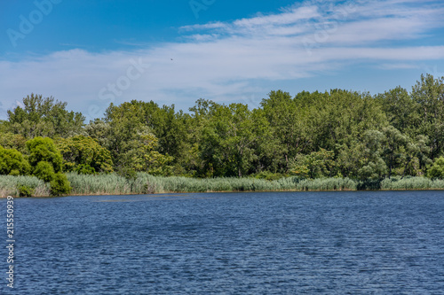 Marhs land and wet lands with pond and animals in state park