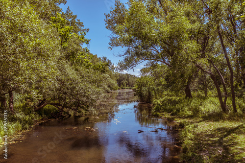 Small River / Stream with Trees Hanging over the Water and Blue Skies © Kirk Love