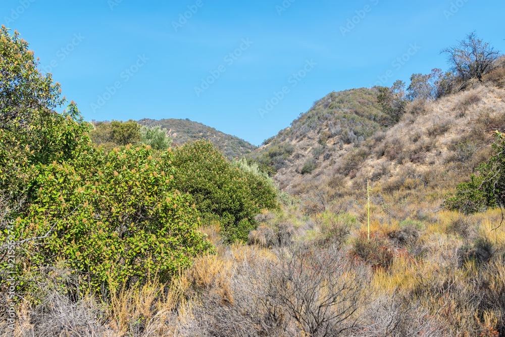 Desert mountain hike in southwest mountains on hot summer morning with dry brush and copy space in blue sky Desert mountain hike in southwest mountains on hot summer morning with dry brush and copy space in blue sky