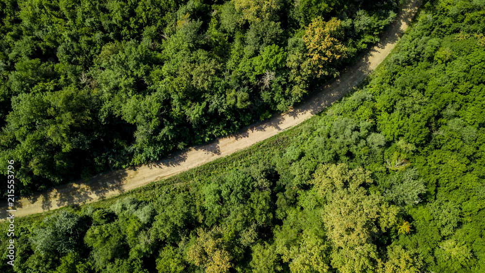 Fototapeta premium Aerial Top Down View Of Caucasus Mountains Forest Trees. Directly above view from drone on a sunny summer day.