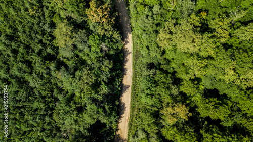 Aerial Top Down View Of Caucasus Mountains Forest Trees. Directly above view from drone on a sunny summer day.