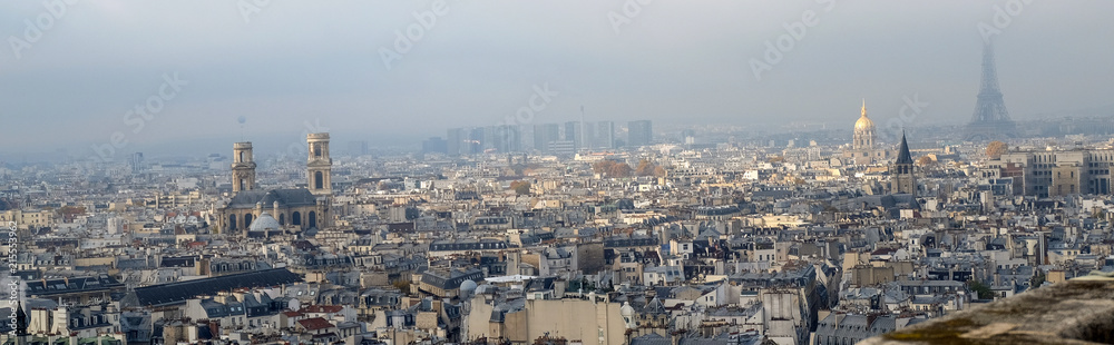 Panoramic view of the city of Paris as seen from Notre Dame cathedral