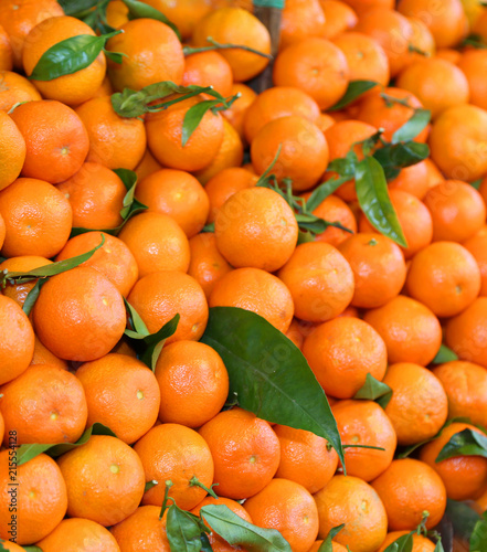 background of orange Sicilian clementines