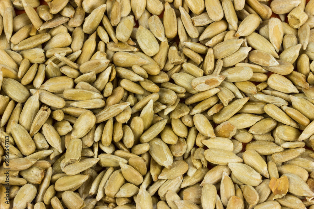 sunflower seeds Salty food for beer texture sunflower seeds Salty food for beer texture