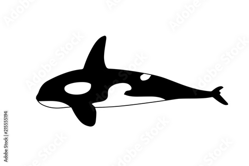 figure killer whales. vector illustration