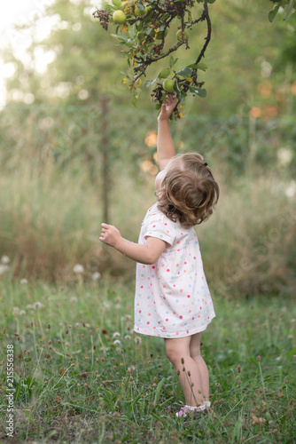 Mädchen pflückt Apfel 2