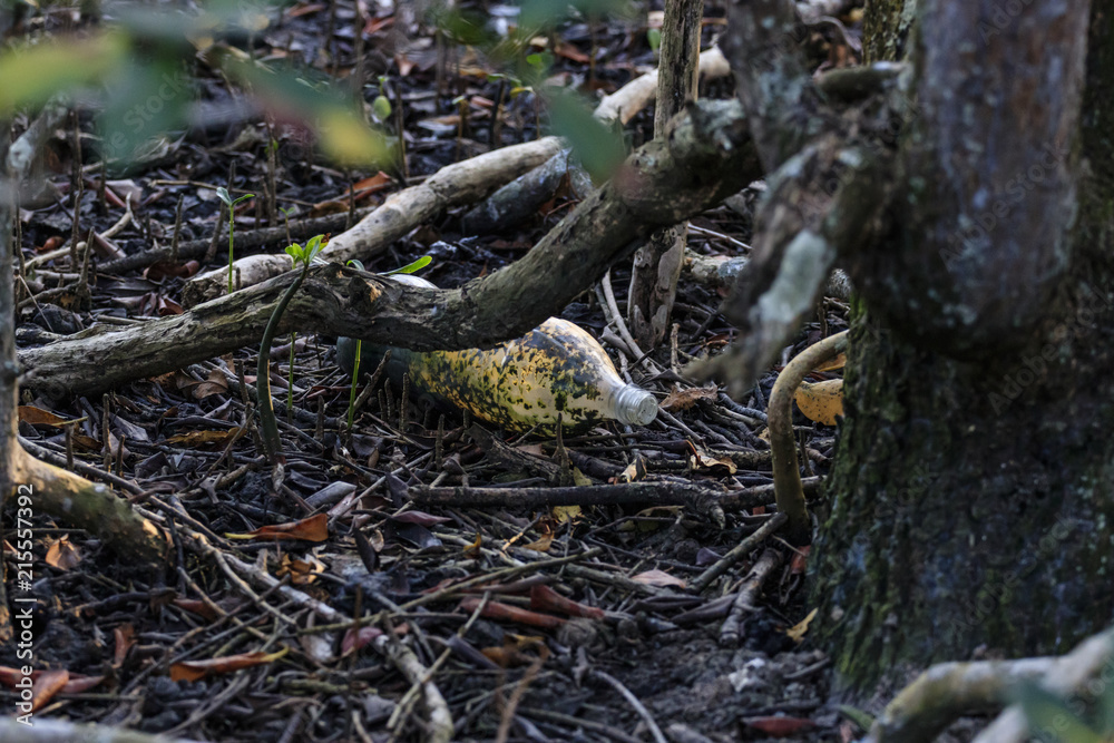 Old bottle of irregularly discarded coolant, environmental pollution in Brazilian mangrove, serious ecological problem. Guaratiba - Rio de Janeiro. Old bottle of irregularly discarded coolant, environmental pollution in Brazilian mangrove, serious ecological problem. Guaratiba - Rio de Janeiro.
