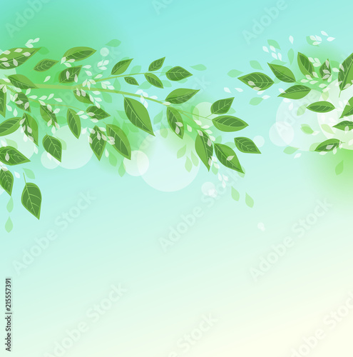 Vector illustration Natural background with green leaves. Fresh green tree leaves