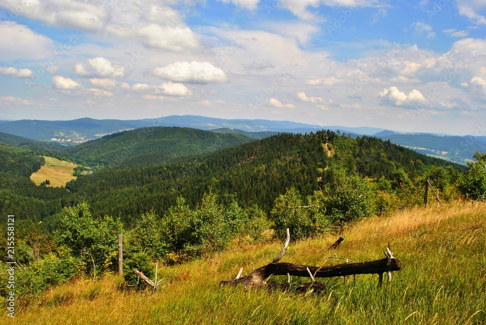 Obraz premium Pejzaż górski - Góry Kamienne, Sudety
