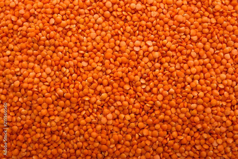 raw lentils on a white acrylic background raw lentils on a white acrylic background