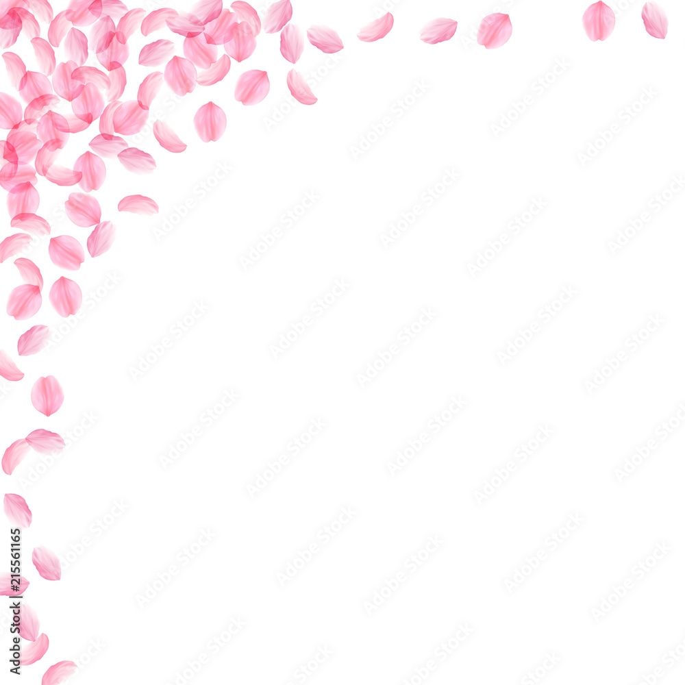 Sakura petals falling down. Romantic pink silky medium flowers. Thick flying cherry petals. Square l