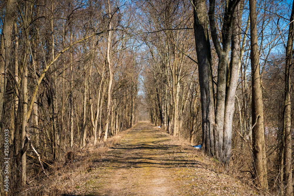 Erie Canal Towpath Erie Canal Towpath
