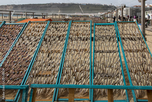 Fish lying on nets, dried in the sun, on the beach in Nazare, Portugal