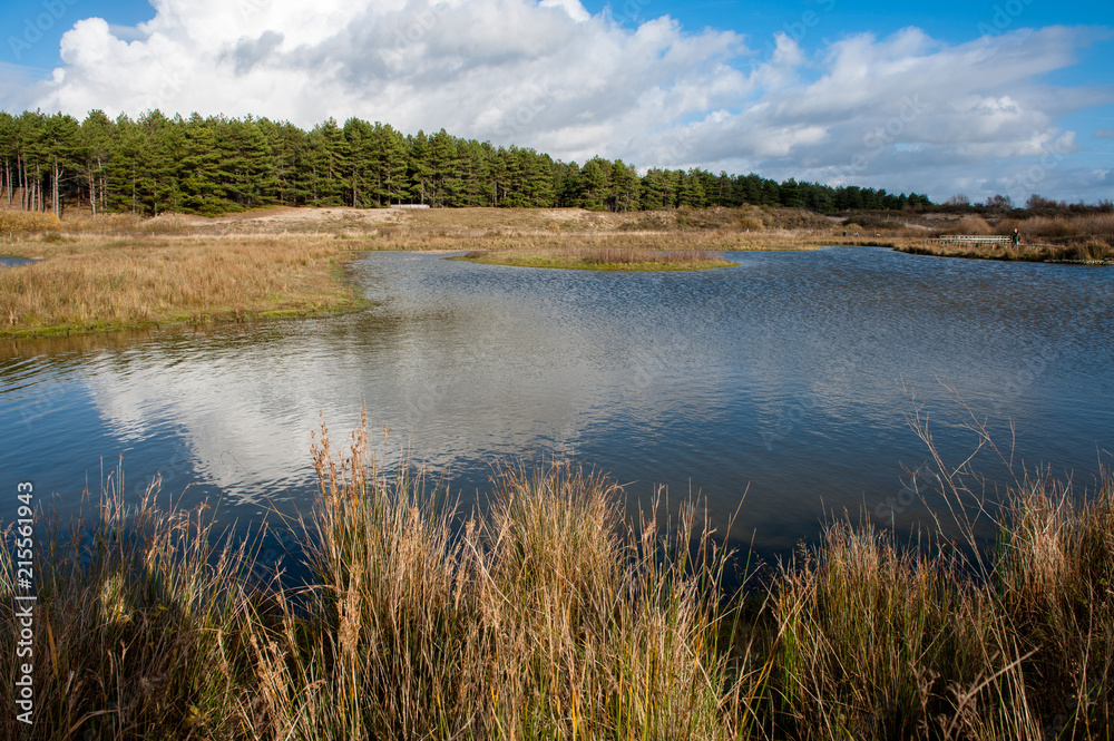 Paysage de Baie de Somme