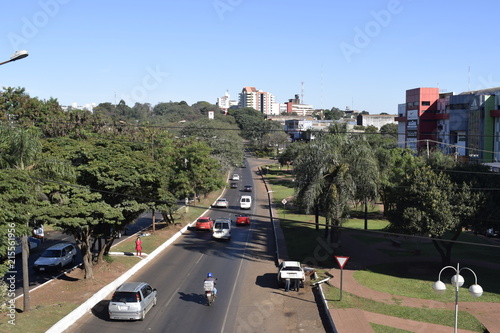 Avenida na cercada por vegetação