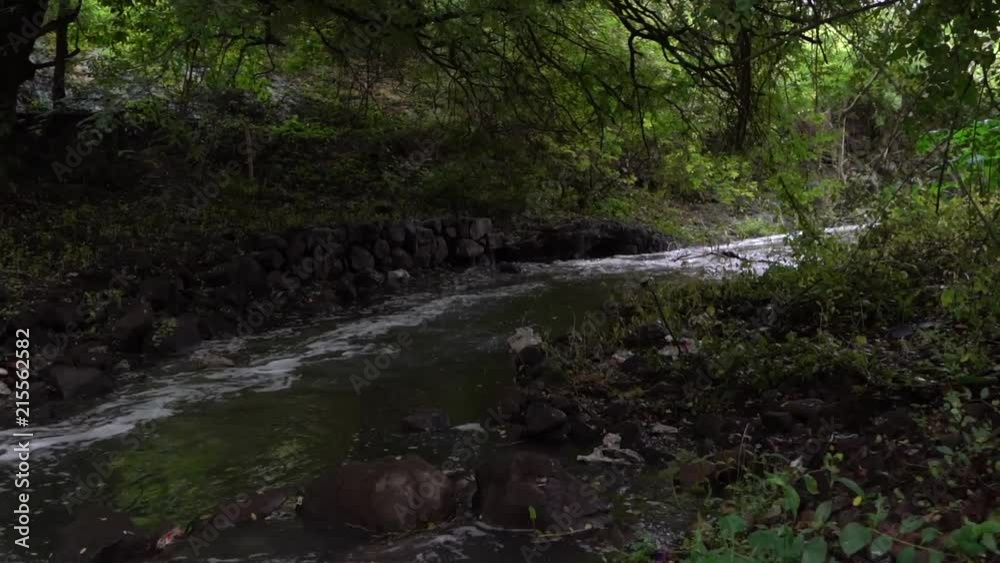 A beautiful morning walk beside a small river in a park A beautiful morning walk beside a small river in a park