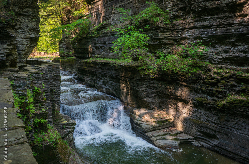 Fototapeta premium Robert H. Treman State Park