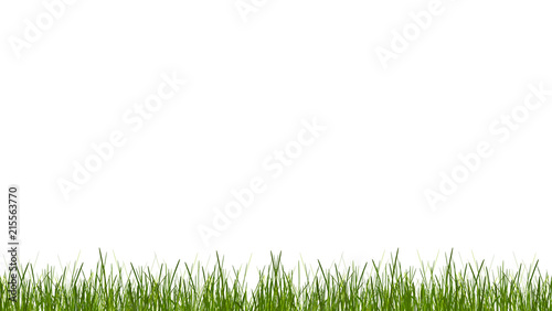 green grass blades of grass meadow lawn 3d-illustration