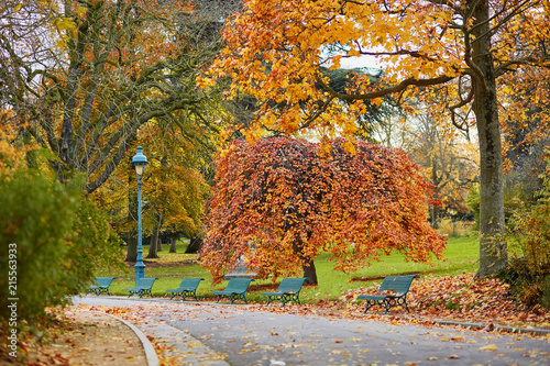 Colorful autumn trees in Montsouris park, Paris, photo