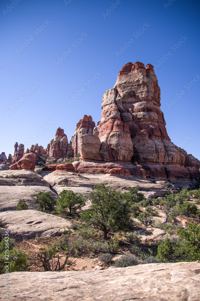 Fototapeta premium Stone Monolith Chesler Park Utah