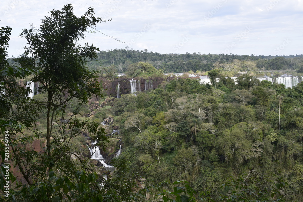 Horizonte da cachoeira do Iguaçu, floresta tropical