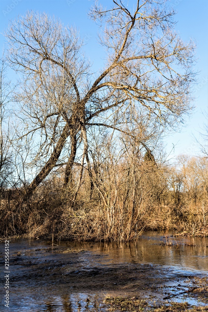 rapid flow of meltwater from the forest, spring sunny day rapid flow of meltwater from the forest, spring sunny day