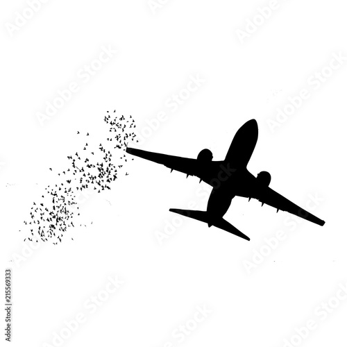 avión comercial